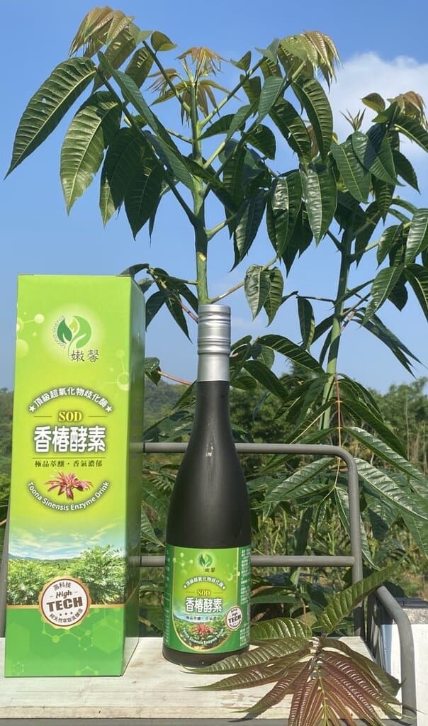 香椿產品介紹/訂購