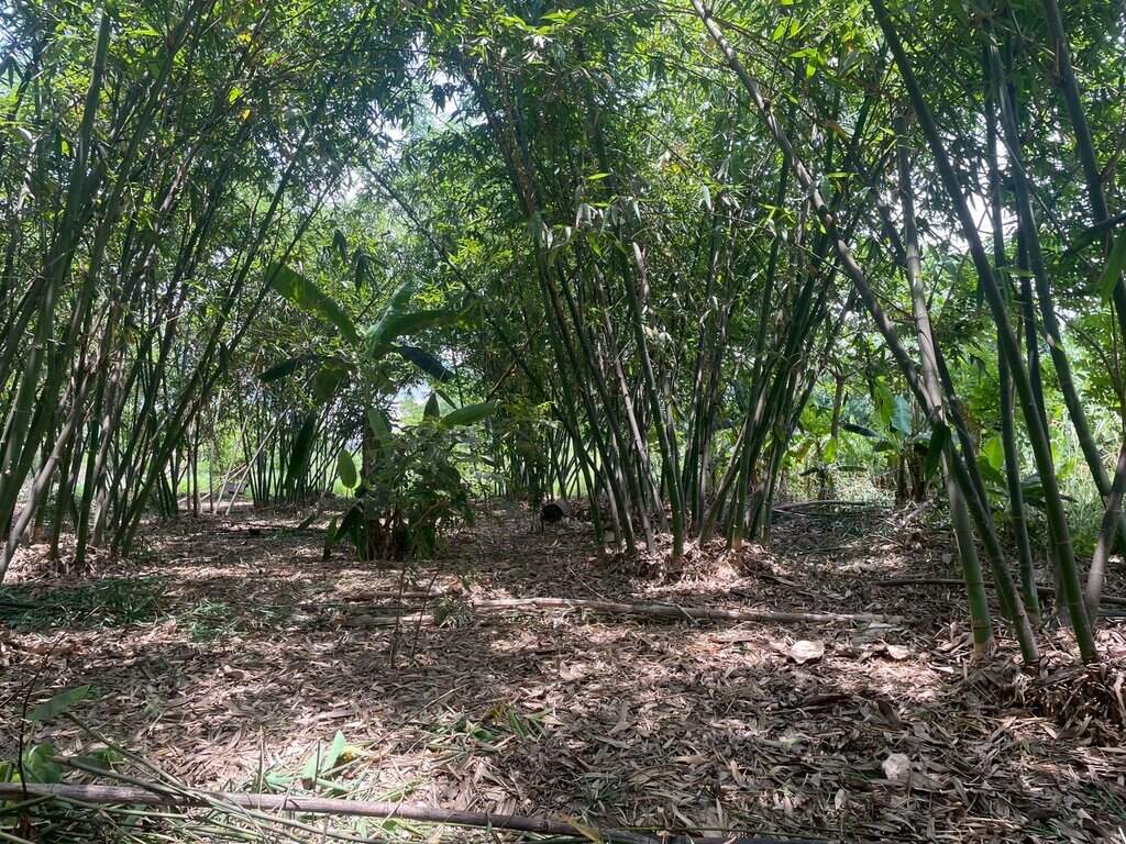 Line Album 大埔大面寬美建地售2980萬 250527 6