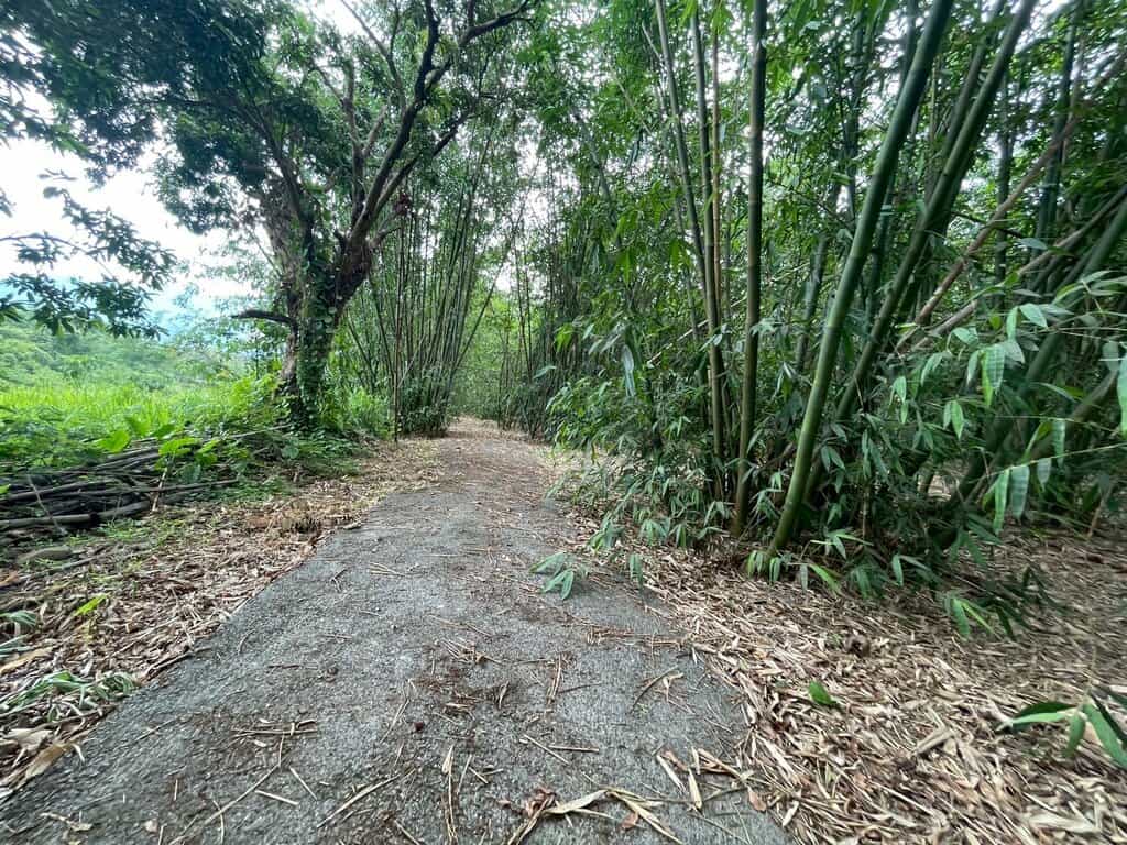 Line Album 大埔消防局旁都計農地售5 9 8萬 250527 10