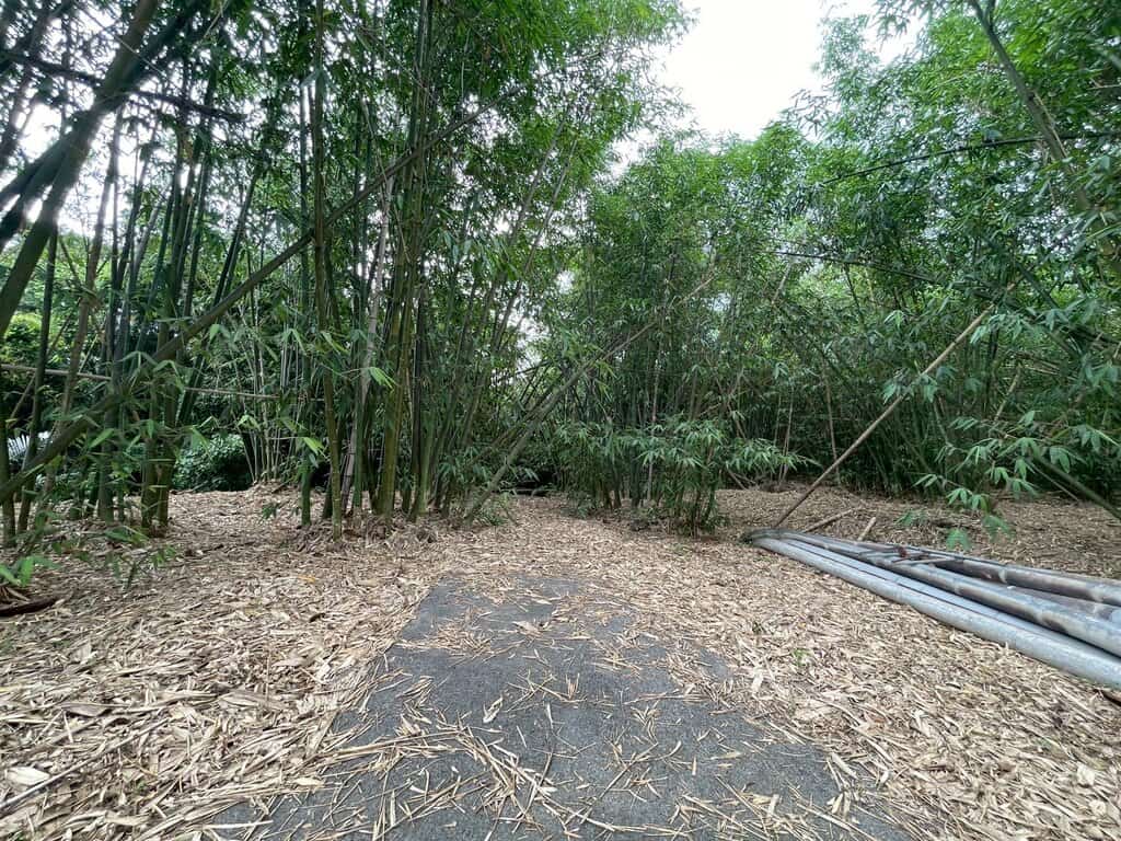 Line Album 大埔消防局旁都計農地售5 9 8萬 250527 6