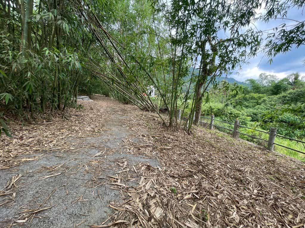 Line Album 大埔消防局旁都計農地售5 9 8萬 250527 7