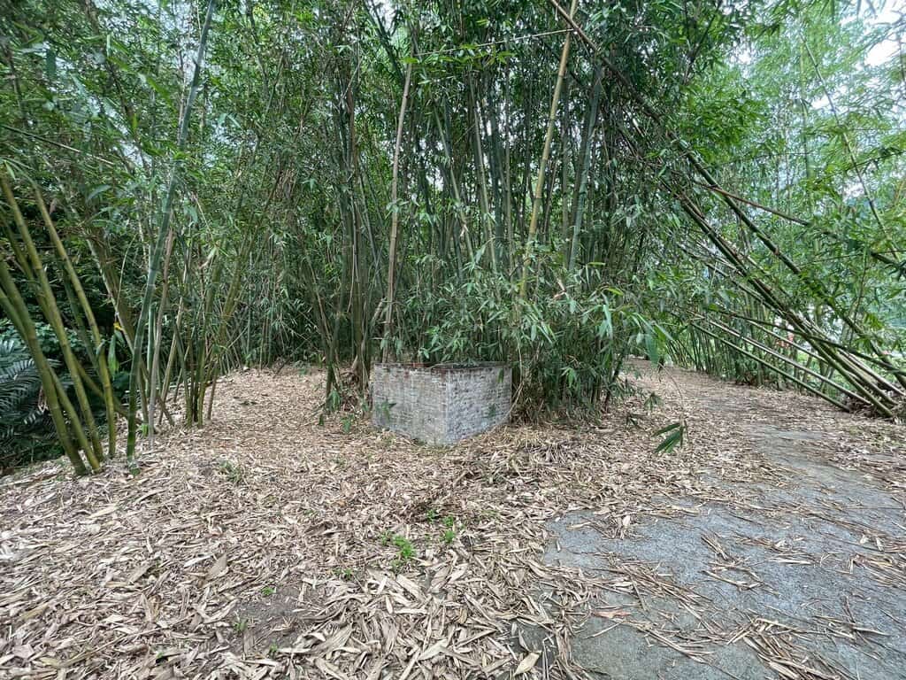 Line Album 大埔消防局旁都計農地售5 9 8萬 250527 8