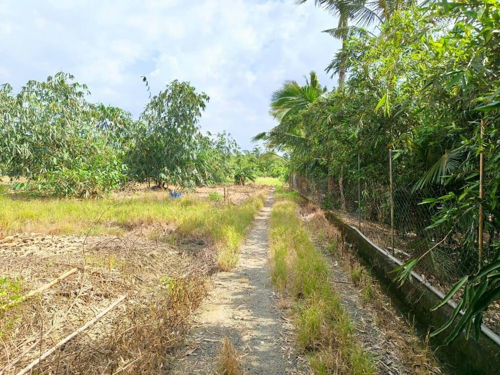 Line Album 白河交流道旁一般農地 250822 3