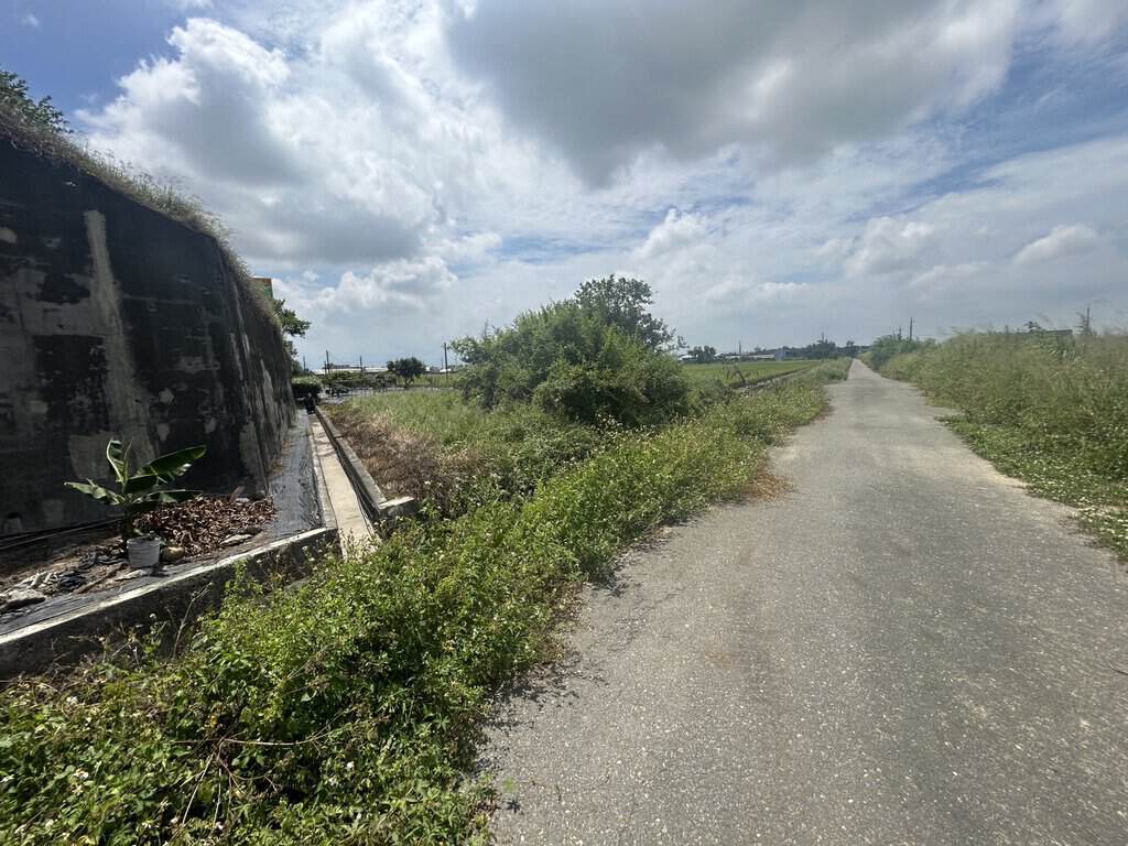 5 0