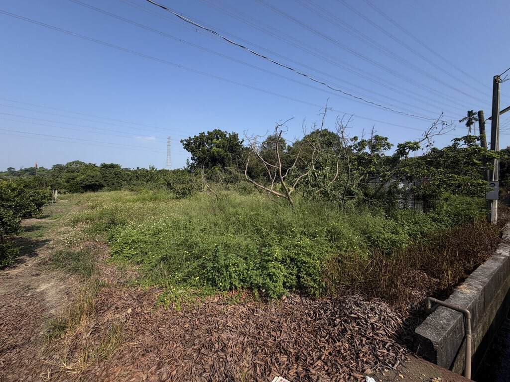S 12951653 0